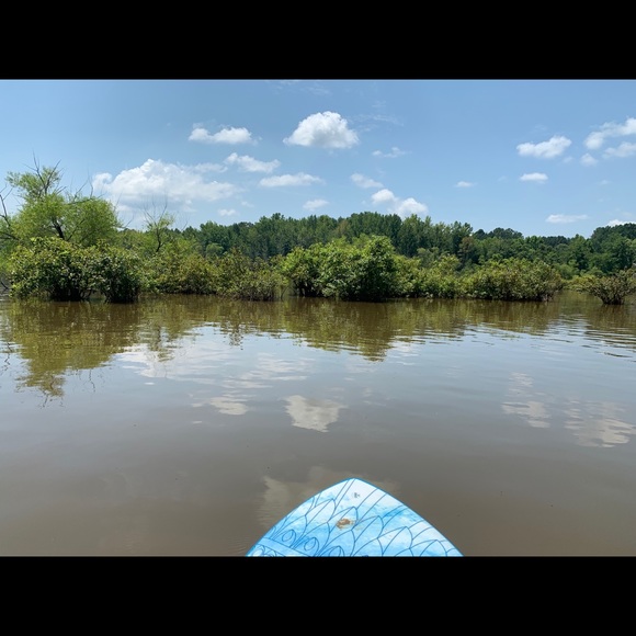 Meet your Posher, Selenna - Picture 5 of 7